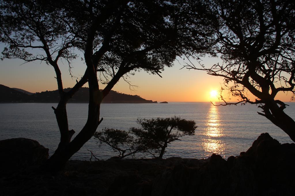 Auberge Du Cap Negre Le Lavandou Zewnętrze zdjęcie