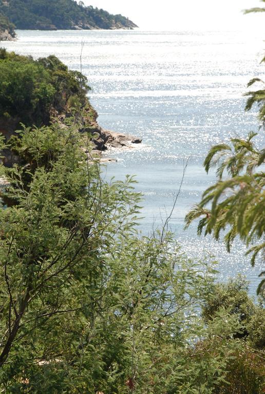 Auberge Du Cap Negre Le Lavandou Zewnętrze zdjęcie