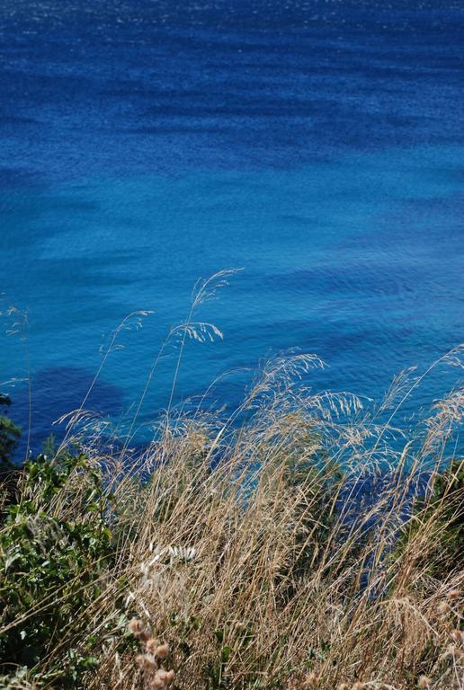 Auberge Du Cap Negre Le Lavandou Zewnętrze zdjęcie